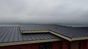 Best Cold Roofs  in Buchanan, VA